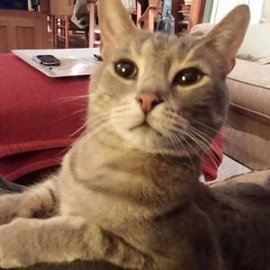 Meet your Posher, Debra